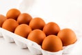 Brown eggs in plastic package on white background Royalty Free Stock Photo