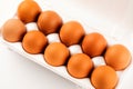 Brown eggs in plastic package on white background Royalty Free Stock Photo