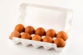 Brown eggs in plastic package on white background Royalty Free Stock Photo