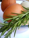 Brown Eggs and Rosemary