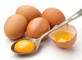 Brown eggs, separating the yolk from the white using a spoon on a white Generative Ai Royalty Free Stock Photo