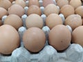 Brown eggs stacked in rows in a french kitchen