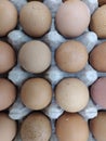 Brown eggs stacked in rows in a french kitchen, Flat view