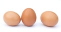 Brown eggs. Royalty Free Stock Photo