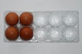 brown eggs in transparent plastic tray Royalty Free Stock Photo