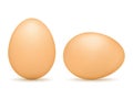 Brown Eggs Royalty Free Stock Photo