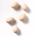 Brown eggs on white background.