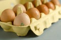 12 brown eggs in yellow egg carton Royalty Free Stock Photo