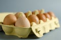 12 brown eggs in yellow egg carton Royalty Free Stock Photo