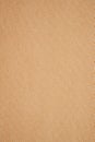 Brown embossed paper background. Royalty Free Stock Photo