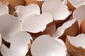 Brown empty egg shells close up full frame