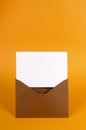 Envelope, blank message card or note paper, copy space, vertical Royalty Free Stock Photo