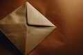 a brown envelope on a brown surface