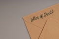Brown envelope with text LETTER OF CREDIT Royalty Free Stock Photo