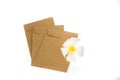 Brown envelopes