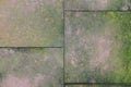 Exterior stone floor tiles with moss growing texture and background seamless Royalty Free Stock Photo