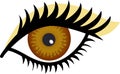 Brown Eye Royalty Free Stock Photo