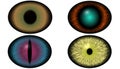 Brown eye with bright iris. Set of colorful eyes watch. Cats eye or dragons.