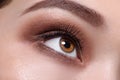 Brown eye with glamour make up close up