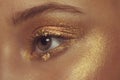 Brown Eye with Gold Eye Shadow