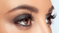 Brown Eye Makeup Royalty Free Stock Photo