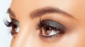 Brown Eye Makeup Royalty Free Stock Photo