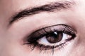 Brown Eye Makeup. Beautiful Eyes Make-up. Macro Royalty Free Stock Photo