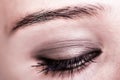 Brown Eye Makeup. Beautiful Eyes Make-up. Macro Royalty Free Stock Photo