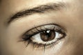 Brown Eye Makeup. Beautiful Eyes Make-up. Macro Royalty Free Stock Photo