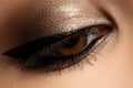 Brown eye makeup. Eyes make-up. Beautiful eyes vintage style mak Royalty Free Stock Photo