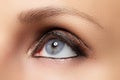 Brown eye makeup. Eyes Make-up. Vintage style make up Royalty Free Stock Photo