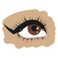 Brown eye on a white Brown eye on a white background. Womans eye. Eye makeup. Graphics. Icon, logo. Isolated vector illustration Royalty Free Stock Photo