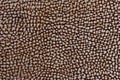 Brown Fabric Texture Background, Imitate Animal Skin as Tiger or