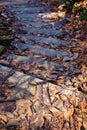 Brown fall leaves on path railroad tie steps Royalty Free Stock Photo