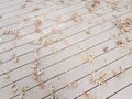 Brown fallen leaves on wood deck outdoor Royalty Free Stock Photo
