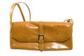 Brown fashionable handbag