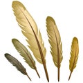 Brown feather