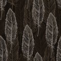 Brown feather pattern Royalty Free Stock Photo