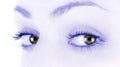 Hnedý žena oči 