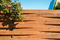 Fence made of wooden curved boards and viburnum bush