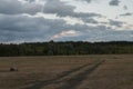 Brown field with trees far away. Dark blue sky and grass. Fall Royalty Free Stock Photo