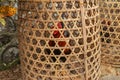 Brown fighting cock in wicker basket made of bamboo. Adept to win or die in a duel with his opponent. Cockfighting is traditional