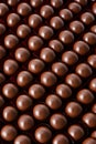 Brown filled chocolate, ball-shaped, in neat rows.