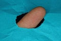 brown finger in a hole in a piece of blue paper Royalty Free Stock Photo