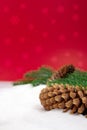 Brown fir cones on pine branches on snow. Behind red background with snowflakes. Vertical. Christmas, New Year