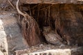 Brown Fish Owl or Bubo zeylonensis sitting under rock nest at forest of central india at ranthambore