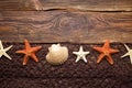 Brown fishing net, starfish and shell on wooden wall background Royalty Free Stock Photo