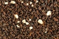 Brown flakes of black loose leaf tea from bags - Earl grey variety. White crystals are artificial flavouring 1.5x magnification, Royalty Free Stock Photo