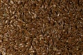 Brown Flax seed. Also known as Linseed, Flaxseed and Common Flax. Closeup of grains, background use