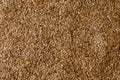 Brown flax seed background. Linen background. Texture Royalty Free Stock Photo
